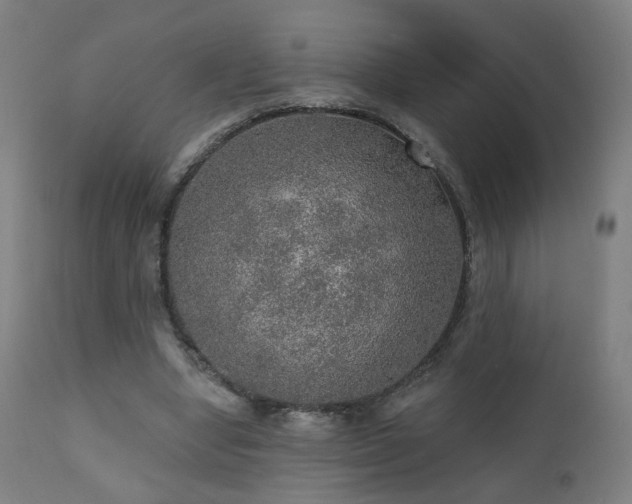 X0000110980442200906191407