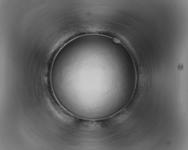 X0000110980443200906191407