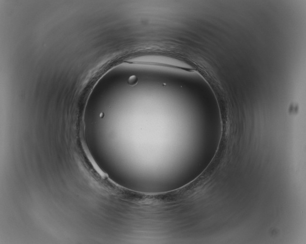 X0000110980444200906191407