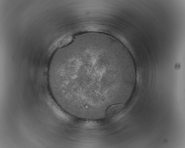 X0000110980445200906191407