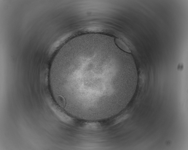 X0000110980446200906191407