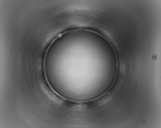 X0000110980447200906191407