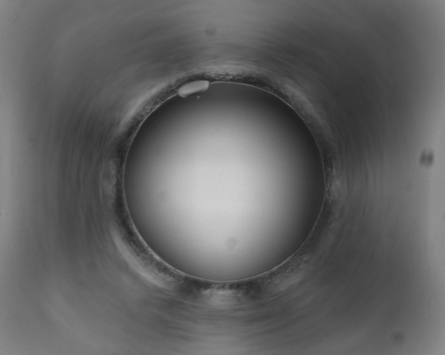 X0000110980448200906191407