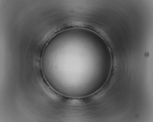 X0000110980449200906191407