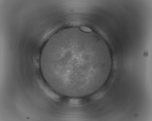 X0000110980450200906191407