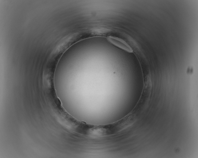 X0000110980452200906191407