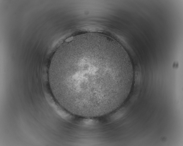 X0000110980453200906191407