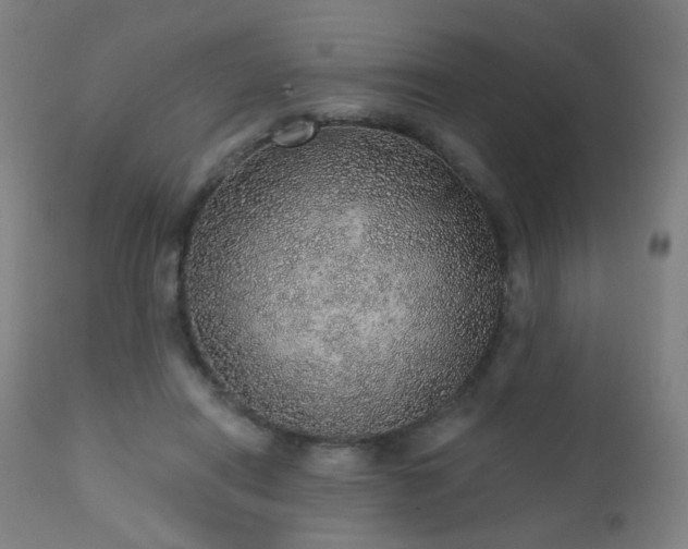 X0000110980454200906191407