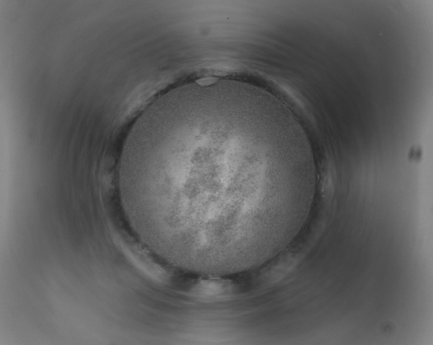 X0000110980455200906191407