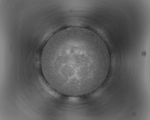 X0000110980457200906191407