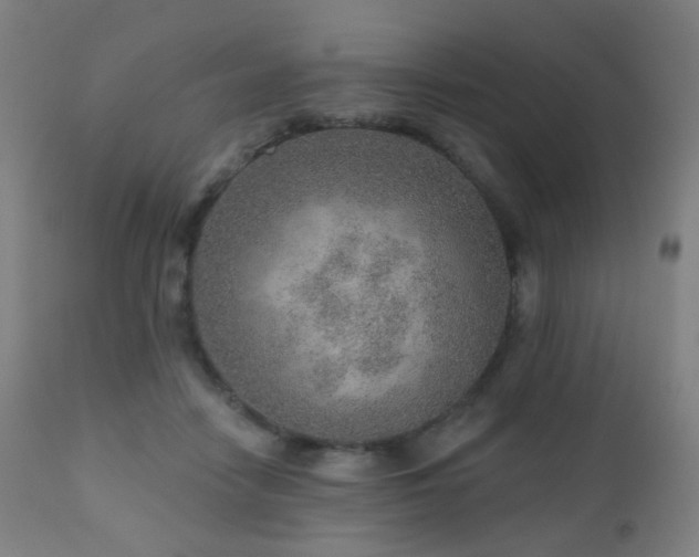 X0000110980458200906191407