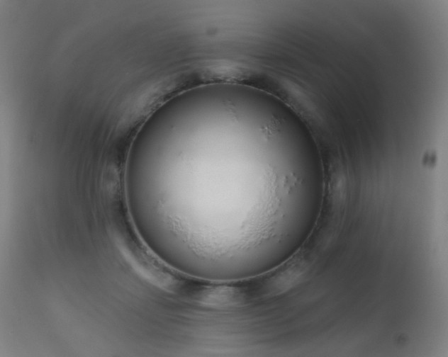 X0000110980459200906191407