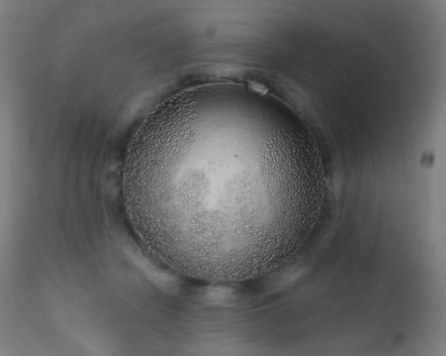 X0000110980462200906191407