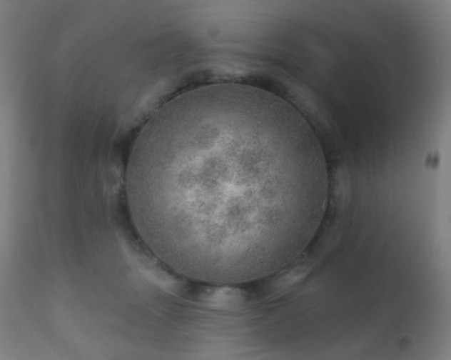 X0000110980463200906191407