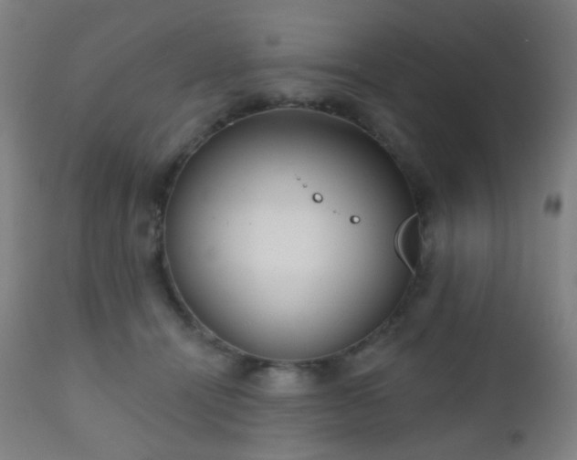 X0000110980464200906191408