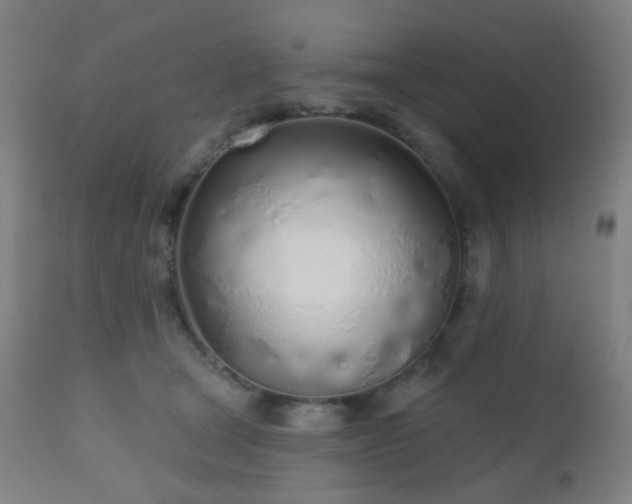 X0000110980465200906191408