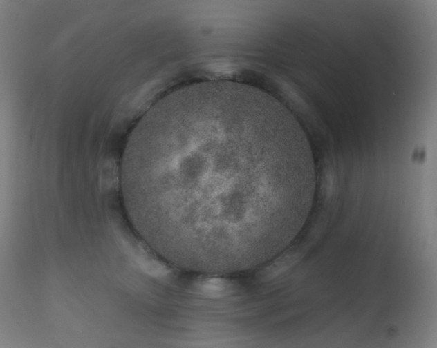 X0000110980467200906191408