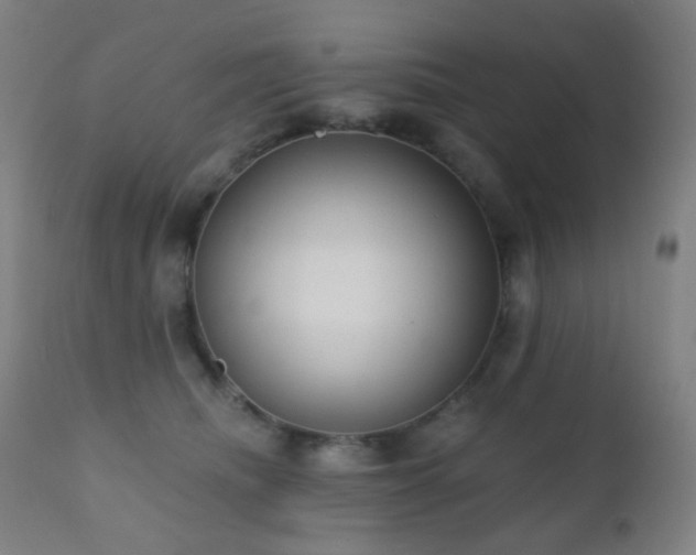 X0000110980468200906191408