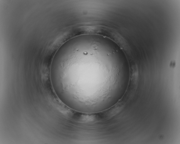 X0000110980469200906191408