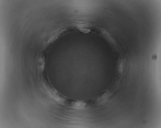 X0000110980471200906191408