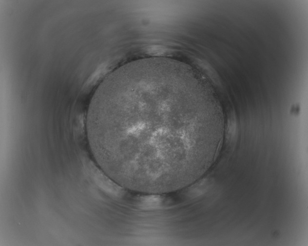 X0000110980473200906191408