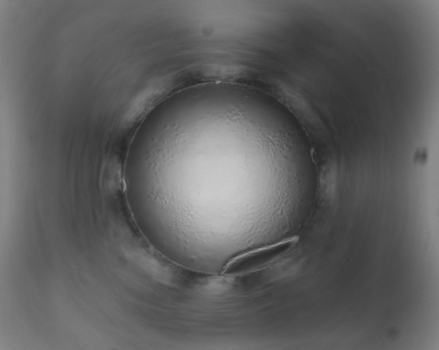 X0000110980474200906191408