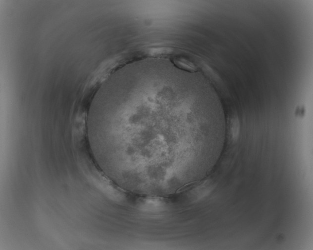 X0000110980475200906191408