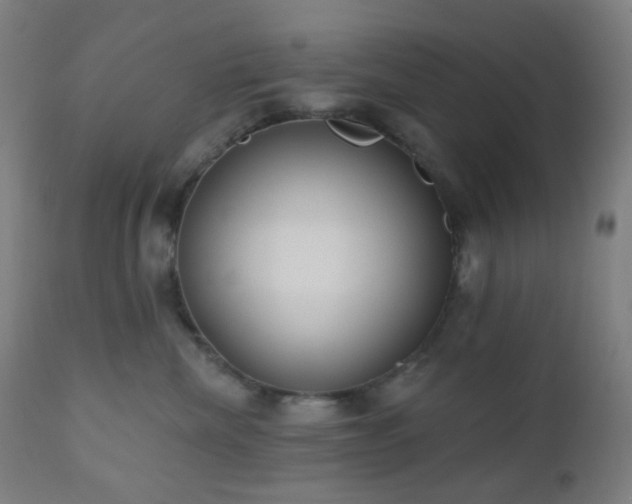 X0000110980476200906191408