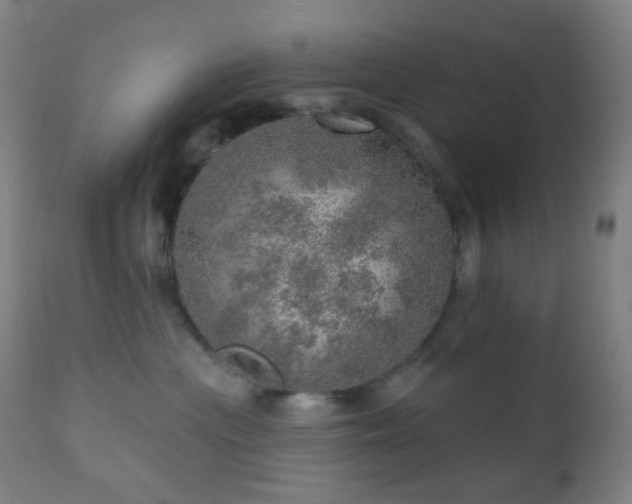 X0000110980477200906191408