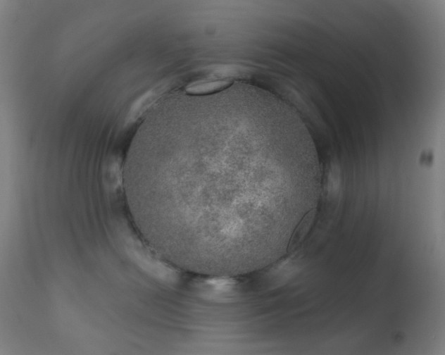 X0000110980478200906191408