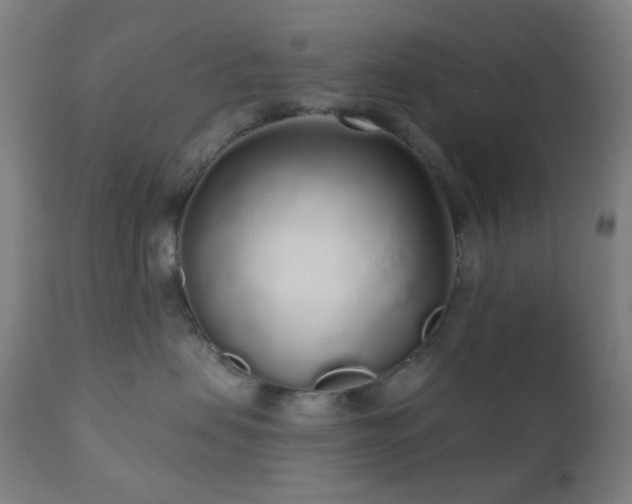 X0000110980479200906191408