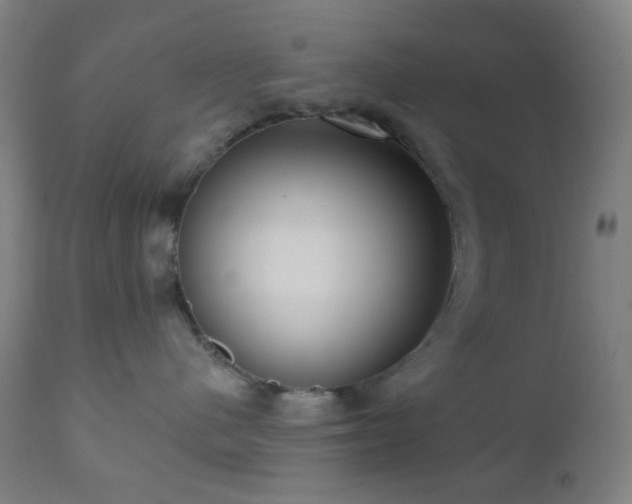 X0000110980480200906191408