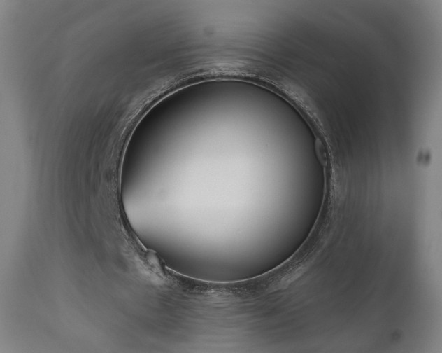 X0000110980481200906191407