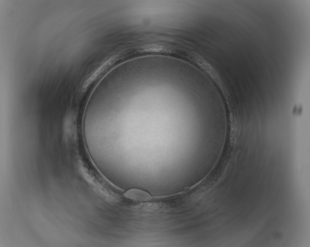 X0000110980482200906191407