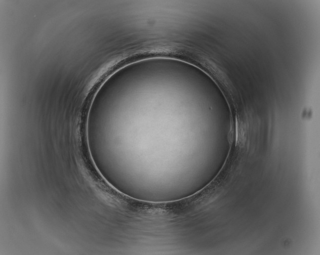 X0000110980483200906191407