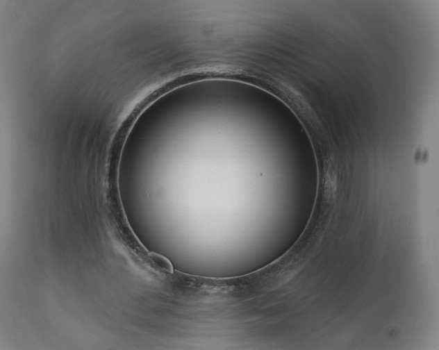 X0000110980484200906191407