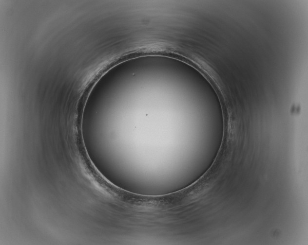 X0000110980485200906191407