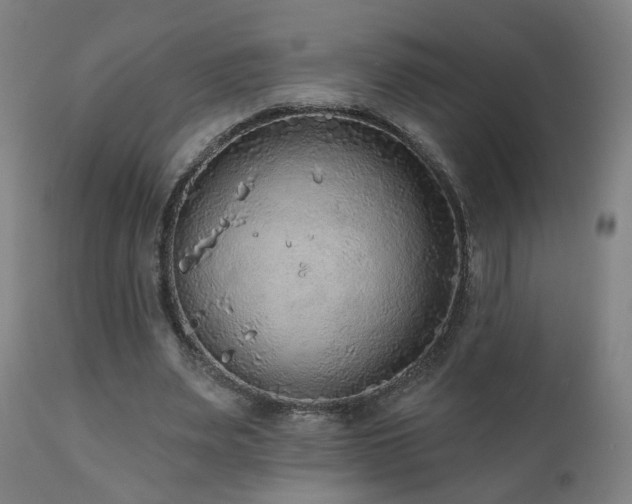 X0000110980487200906191407