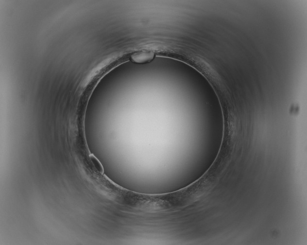 X0000110980488200906191407