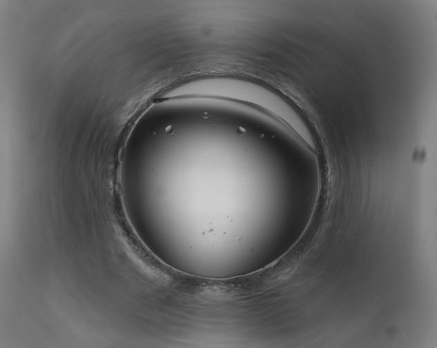 X0000110980489200906191407