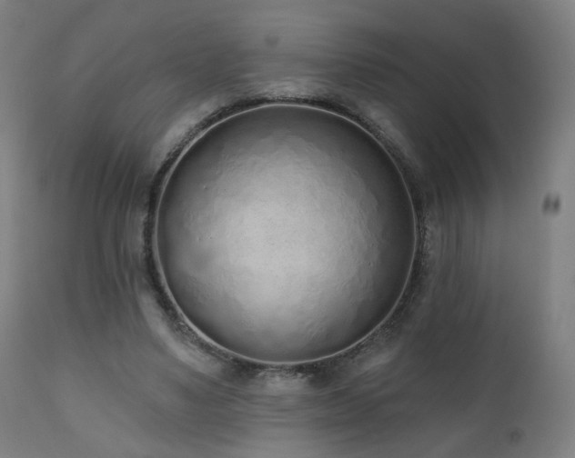 X0000110980491200906191407