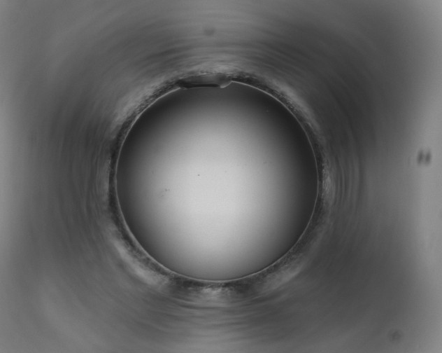 X0000110980493200906191407