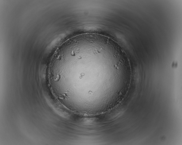 X0000110980495200906191407