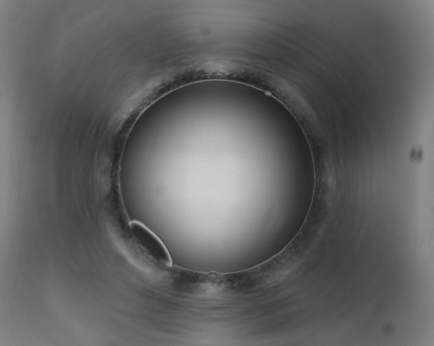 X0000110980496200906191407