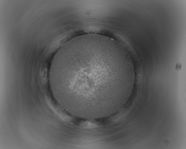 X0000110980498200906191407