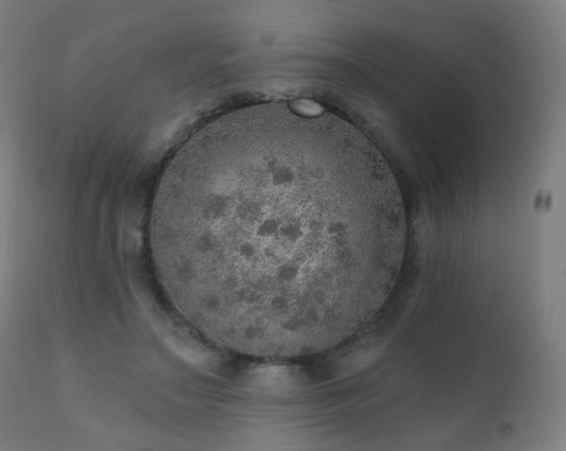 X0000110980499200906191407