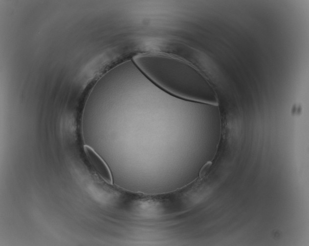 X0000110980500200906191407