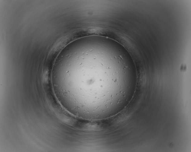 X0000110980502200906191407