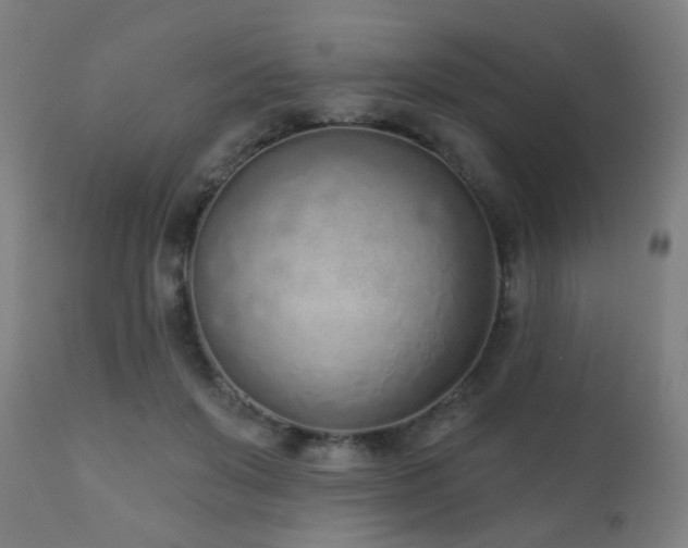 X0000110980503200906191407