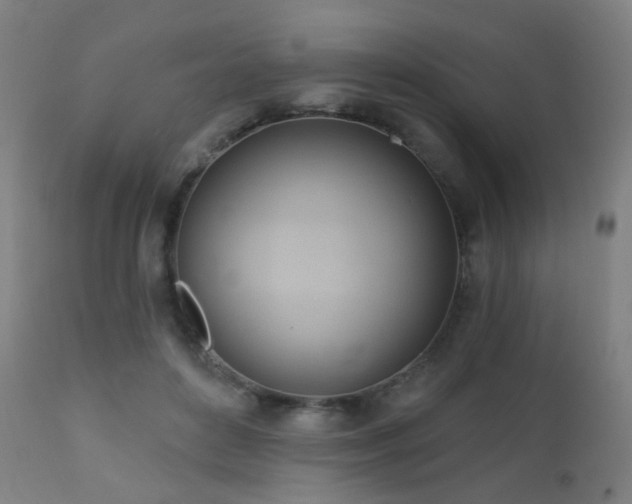 X0000110980504200906191407